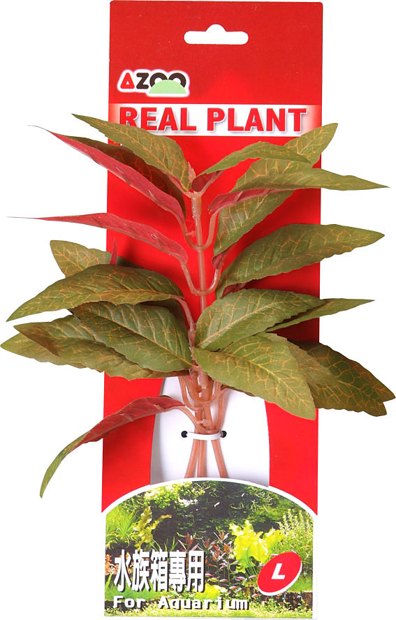 AZOO ALTERNATHERA GREEN L (22cm) (AZ98004) - Roślina sztuczna z tkanymi liśćmi