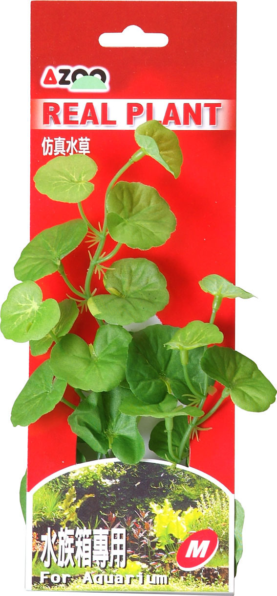 AZOO HYDROCOTYLE M (19cm) (AZ98011) - Roślina sztuczna z tkanymi liśćmi