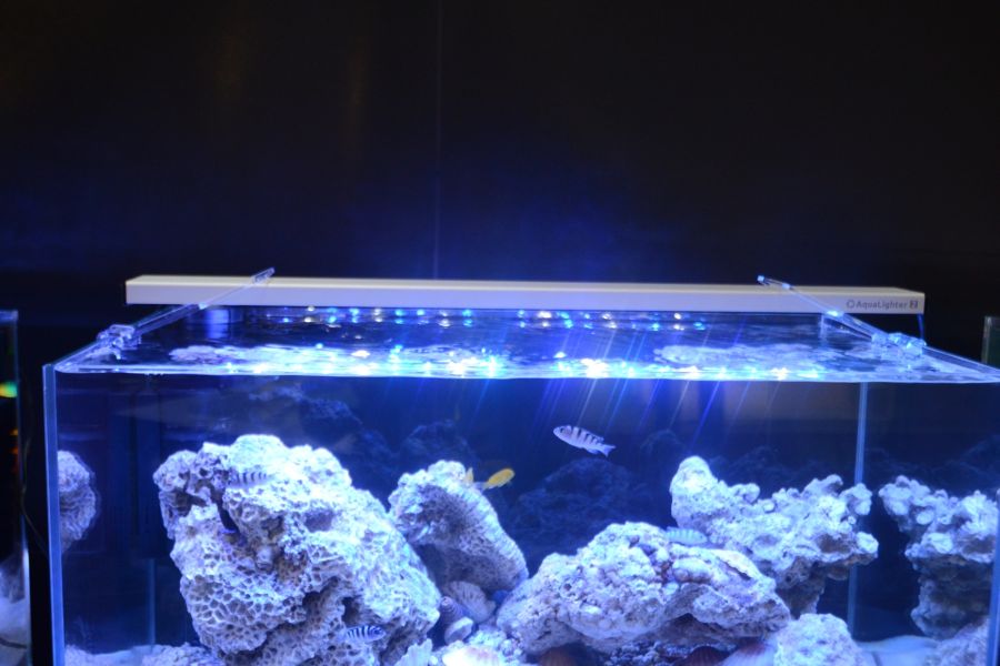AQUALIGHTER 2 Srebrny 30cm (Marine) (87612) - Oświetlenie Led do akwarium morskiego na diodach Cree