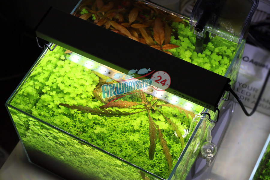 AQUALIGHTER 2 Srebrny 60cm (Freshwater) (82342) - Oświetlenie Led do akwarium słodkowodnego na diodach Cree