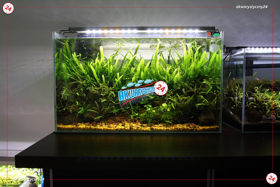 AQUALIGHTER 2 Srebrny 90cm (Freshwater) (82372) - Oświetlenie Led do akwarium słodkowodnego na diodach Cree