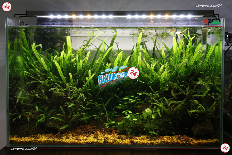 AQUALIGHTER (Używany) 2 Srebrny 60cm (Freshwater) - Oświetlenie Led do akwarium słodkowodnego na diodach Cree