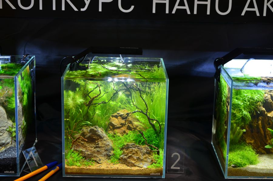 AQUALIGHTER Nano Freshwater - Lampka do nano akwarium słodkowodnego do 25L