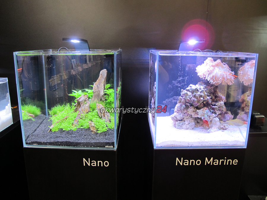 AQUALIGHTER Nano Marine (8228) - Lampka do nano akwarium morskiego do 25L