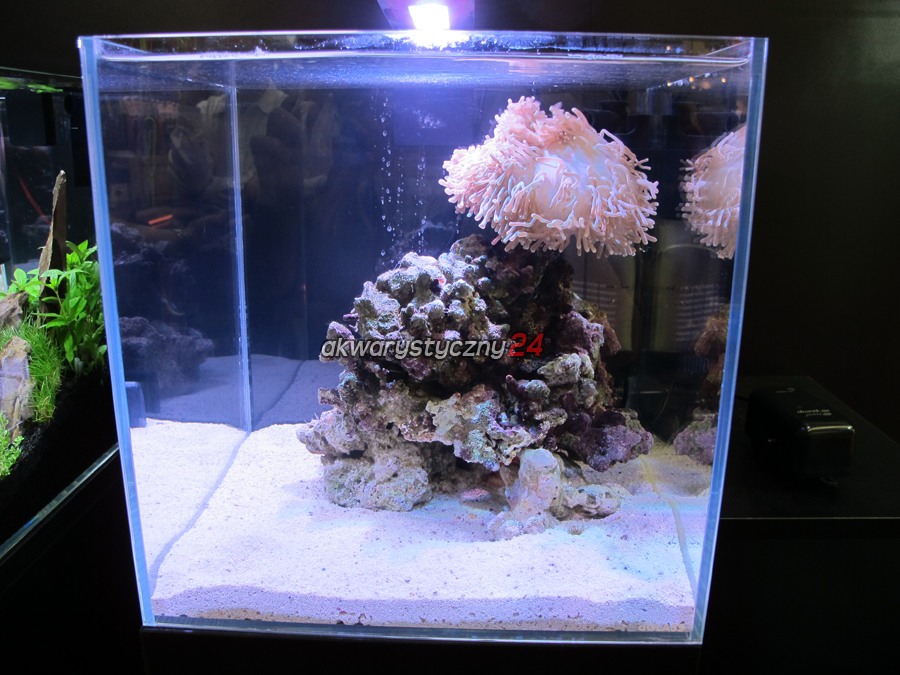 AQUALIGHTER Nano Marine (8228) - Lampka do nano akwarium morskiego do 25L