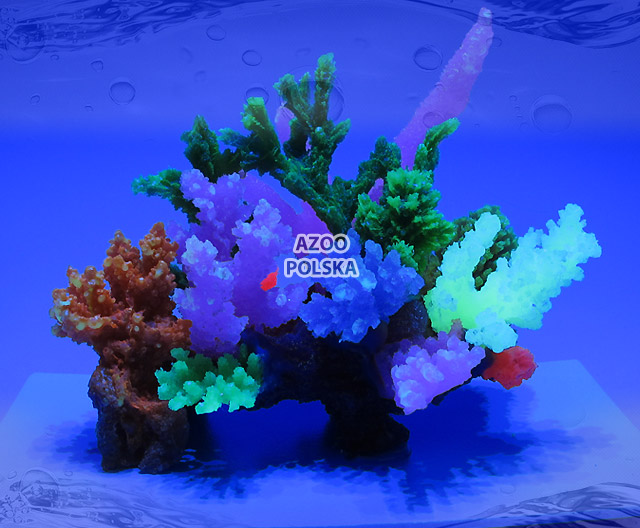 AZOO Glowlight Coral (L) Pink (AZ27103)