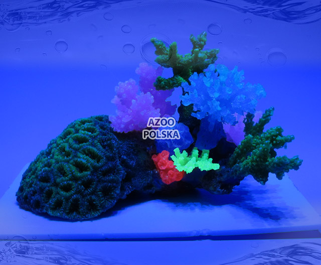 AZOO Glowlight Coral (L) Blue (AZ27104)