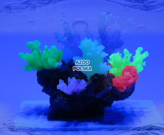 AZOO Glowlight Coral (M) Purple (AZ27105)