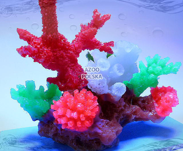 AZOO Glowlight Coral (M) Red (AZ27106)