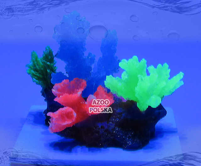 AZOO Glowlight Coral (S) Blue (AZ27112)