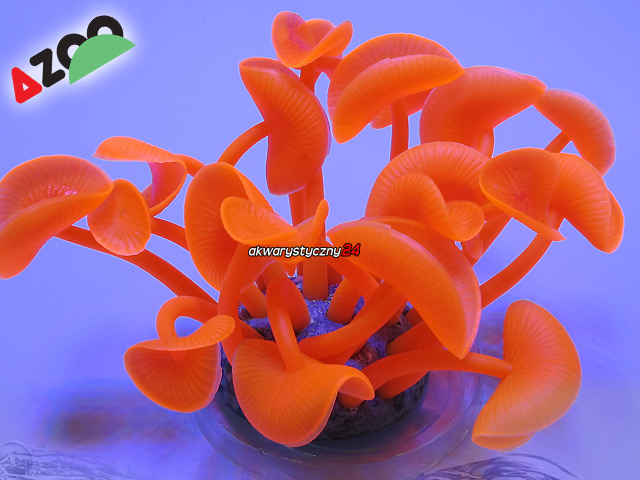 AZOO NEON CORAL L "Czerwony" (AZ27152)