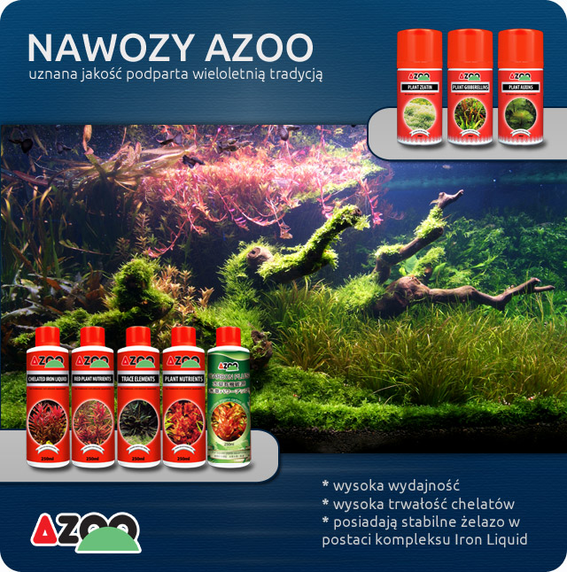 NawozyRazem.jpg