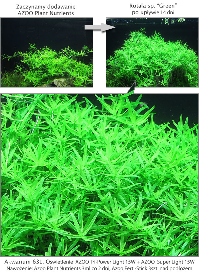 PlantNutrients2.jpg