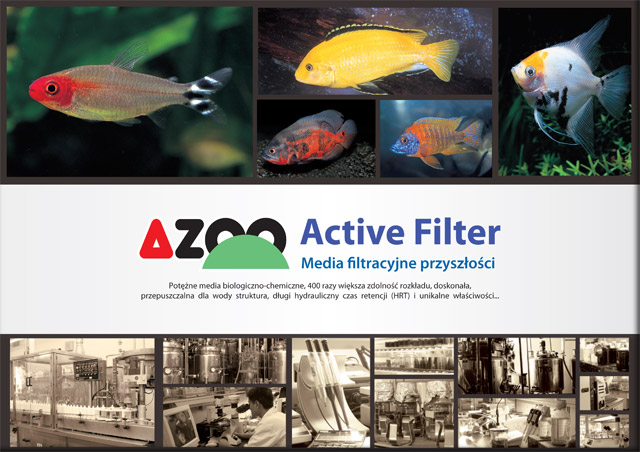 AZOO Active Filer Calcium & Magnesium Ion (AZ16066) - Wkład biologiczny, uwalniający korzystne jony pierwiastków śladowych