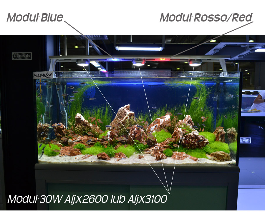 CEAB Moduł dodatkowy ALJ700WB 2X5W 10.000K+Blue do Aqua&Led i Slide&Led (ALJ700WB)