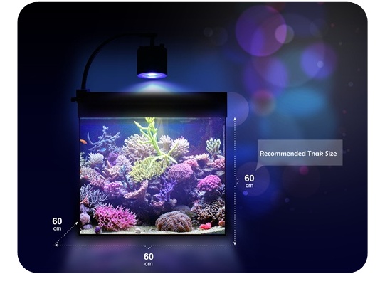 KELO AQ100 Freshwater - Oświetlenie do akwarium słodkowodnego i roślinnego.