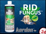 KORDON RID FUNGUS 118ml