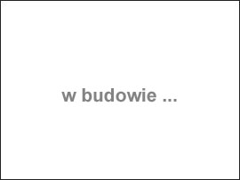 700N - Zestaw Co2 z butlą, elektrozaworem i komputerem ph