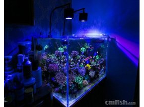 KELO AQ100 - Oświetlenie do akwarium rafowego i morskiego