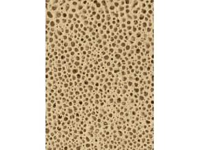 BRIGHTWELL AQUATICS Xport BIO Brick (XPBRICBIO) - Ultraporowate biologiczne medium filtracyjne w kształcie cegły o doskonałej wydajności.