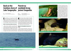 Tanganika Magazyn nr.23 - Półrocznik o biotopie Tanganika.