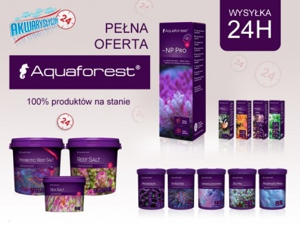 Produkty Aquaforest w ofercie.