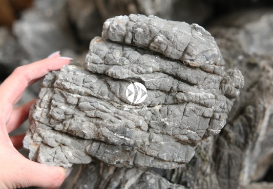 Nowa skała Elephant Skin Stone od ROTALA
