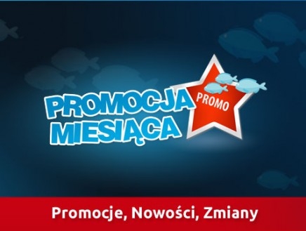 Promocje i nowości Luty - 2013r