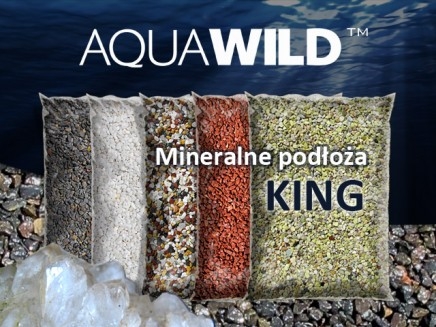 Nowe podłoża AQUAWILD KING w naszej ofercie!