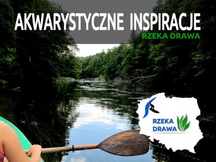 AKWARYSTYCZNE INSPIRACJE - RZEKA DRAWA 2013r