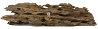 ROTALA Hollow Premium Wood 1kg (RHW01) - Dekoracyjny korzeń do akwarium