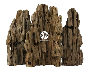 Hollow Premium Wood 1kg (RHW01) - Dekoracyjny korzeń do akwarium