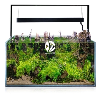 AQUAEL UltraScape 90 Forest Set (123430) - Zestaw akwariowy z oświetleniem LED