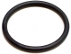 EHEIM Sealing Ring (7277350) - Uszczelka do classic (2250), classic 1500XL (2260)