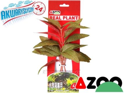 AZOO ALTERNATHERA GREEN L (22cm) (AZ98004) - Roślina sztuczna z tkanymi liśćmi