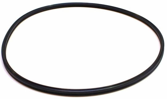 EHEIM Sealing Gasket (7343150) - Uszczelka głowicy Professionel/2426