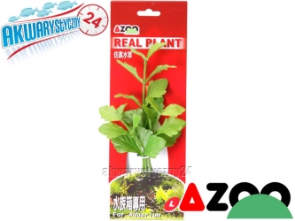 AZOO SHINNERSIA RIVULARIS L (20cm) (AZ98020) - Roślina sztuczna z tkanymi liśćmi