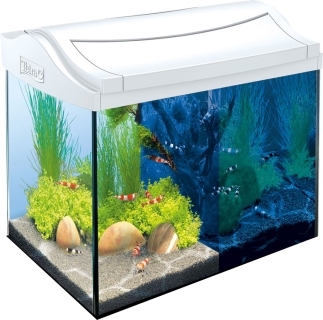 (Niekompletny) AquaArt LED Shrimp 20L Biały - Zestaw nano akwarium, krewetkarium o pojemności 20l.
