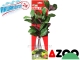 AZOO LOBELIA CARDINALIS XL (31cm) (AZ98023) - Roślina sztuczna z tkanymi liśćmi