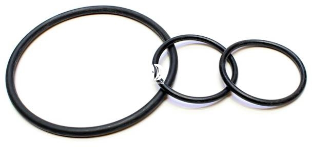 EHEIM Set Of Sealing Rings (7475570) - Uszczelka do CompactON 5000 (1032)