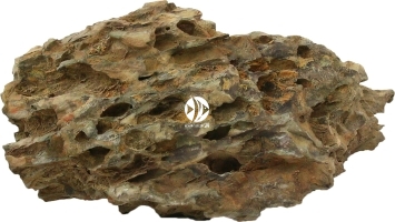 AQUAWILD Dragon Stone 1kg - Piękne dziurawe skały do akwarium roślinnego i dekoracyjnego
