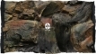 ATG Tło Korzeń (KO50x30) - Tło do akwarium z motywami korzeni i skał. 50x30 cm