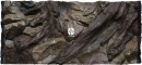 ATG Tło Korzeń (KO50x30) - Tło do akwarium z motywami korzeni i skał. 80x40 cm