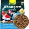 TETRA Pond Wheatgerm Sticks (T750029) - Pokarm pływający dla ryb stawowych 4L