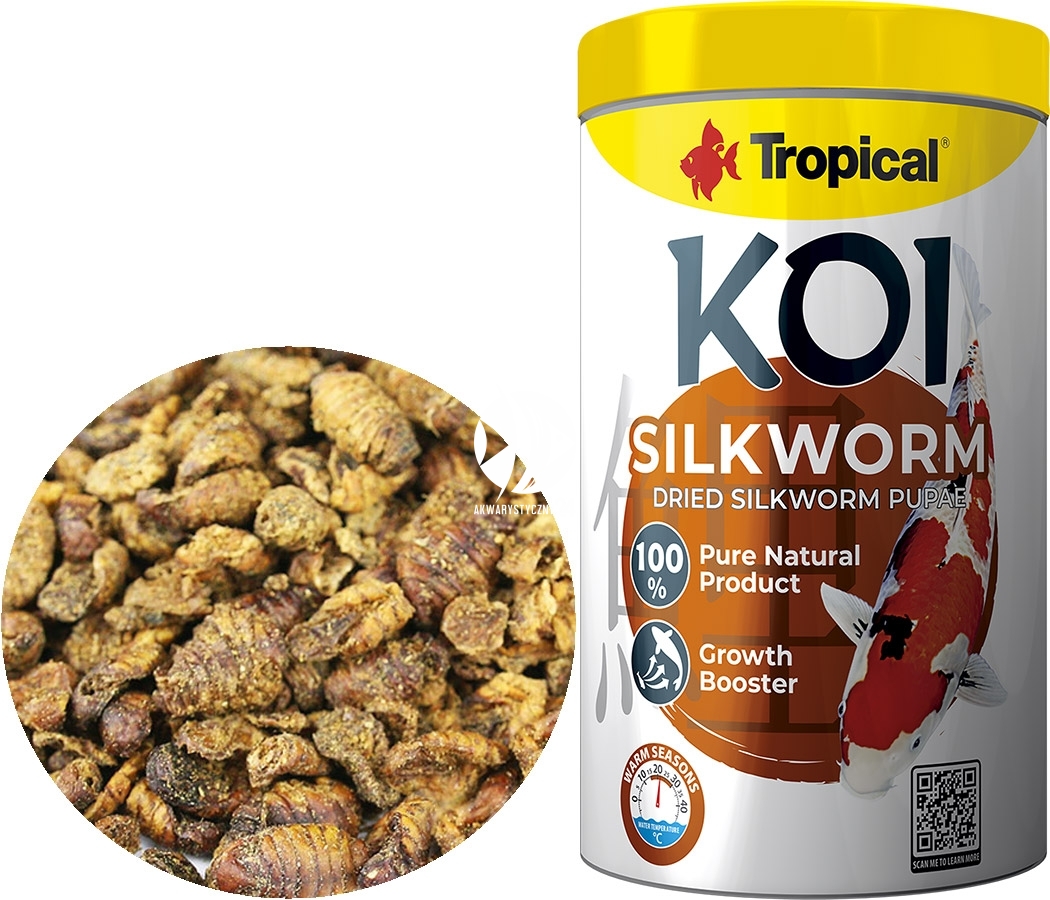Silkworm pupae for koi hot sale