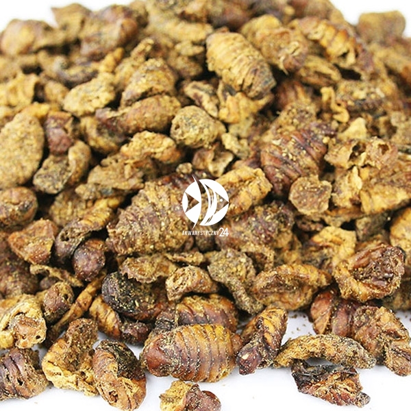 TROPICAL Koi Silkworm Dried Silkworm Pupae 330g 1L