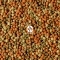 TROPICAL Pond Pellet Mix M (41225) - Pokarm dla ryb w oczku wodnym