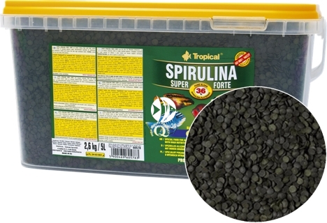 TROPICAL Spirulina Super Forte Chips 2,6kg/5L (60578) - Pokarm dla dużych ryb roślinożernych