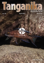 Tanganika Magazyn nr. 32 - Półrocznik o biotopie Tanganika.