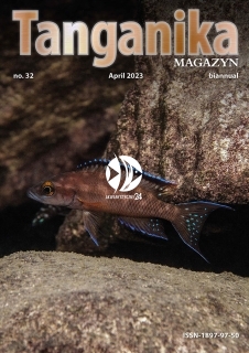 Tanganika Magazyn nr. 32 - Półrocznik o biotopie Tanganika.